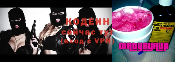 ГАЛЛЮЦИНОГЕННЫЕ ГРИБЫ Инсар