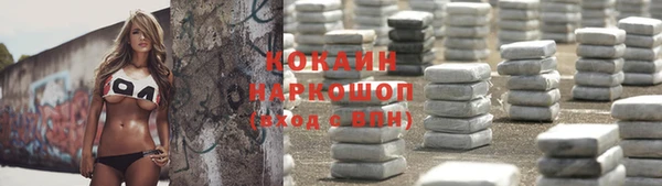 мет Инта