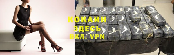 мет Инта