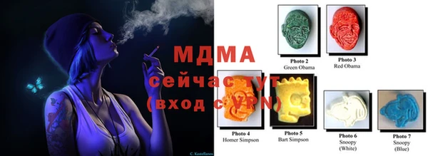 ГАЛЛЮЦИНОГЕННЫЕ ГРИБЫ Инсар