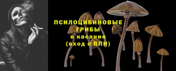 дурь Иннополис