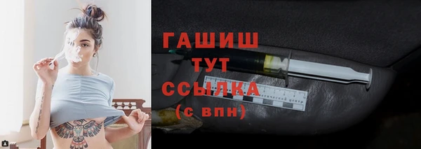 мет Инта