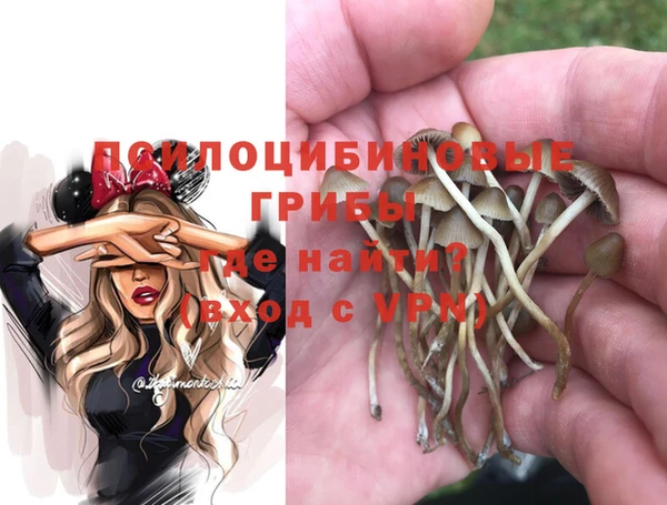мет Инта