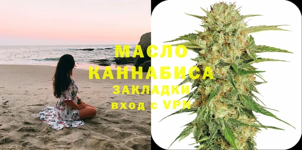 мет Инта
