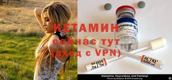 мет Инта
