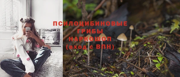 дурь Иннополис