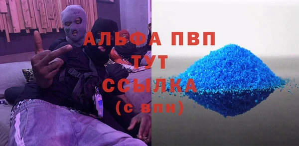 ГАЛЛЮЦИНОГЕННЫЕ ГРИБЫ Инсар