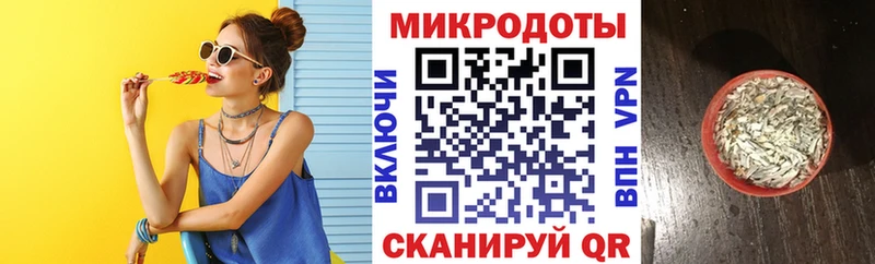 Псилоцибиновые грибы Cubensis  Светогорск 